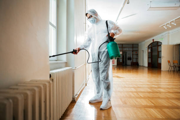 Real Estate Pest Inspections in New York Mills, MN